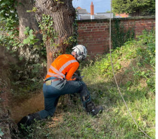 Garden Clearance Wakefield