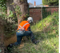 Tree Surgeon Wakefield